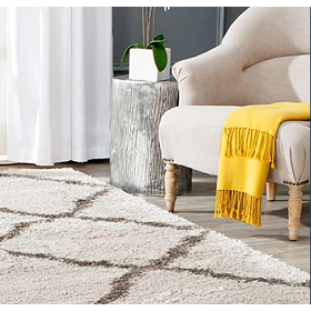 Area Rugs: Exclusive Discount on exquisite range of Safavieh Rugs