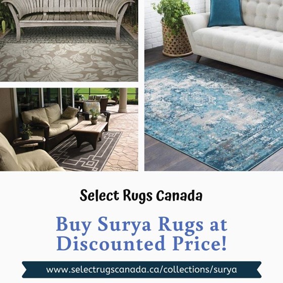 Area Rugs: Buy Designer Surya Rugs and Get Up to 40% Off