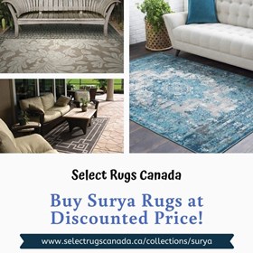 Area Rugs: Buy Designer Surya Rugs and Get Up to 40% Off